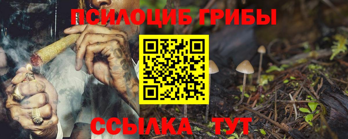 Псилоцибиновые грибы MAGIC MUSHROOMS  Вход с VPN  Кировск 