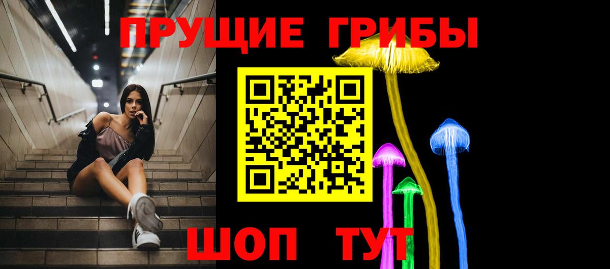 Псилоцибиновые грибы прущие грибы Кировск
